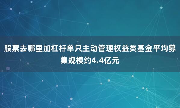 股票去哪里加杠杆单只主动管理权益类基金平均募集规模约4.4亿元