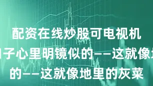 配资在线炒股可电视机前的两口子心里明镜似的——这就像地里的灰菜